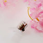 Pink cherry blossom fairy lights on a white background.