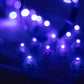 Light blue mini LED balls, waterproof battery-operated balloon lights. #whtbkgd