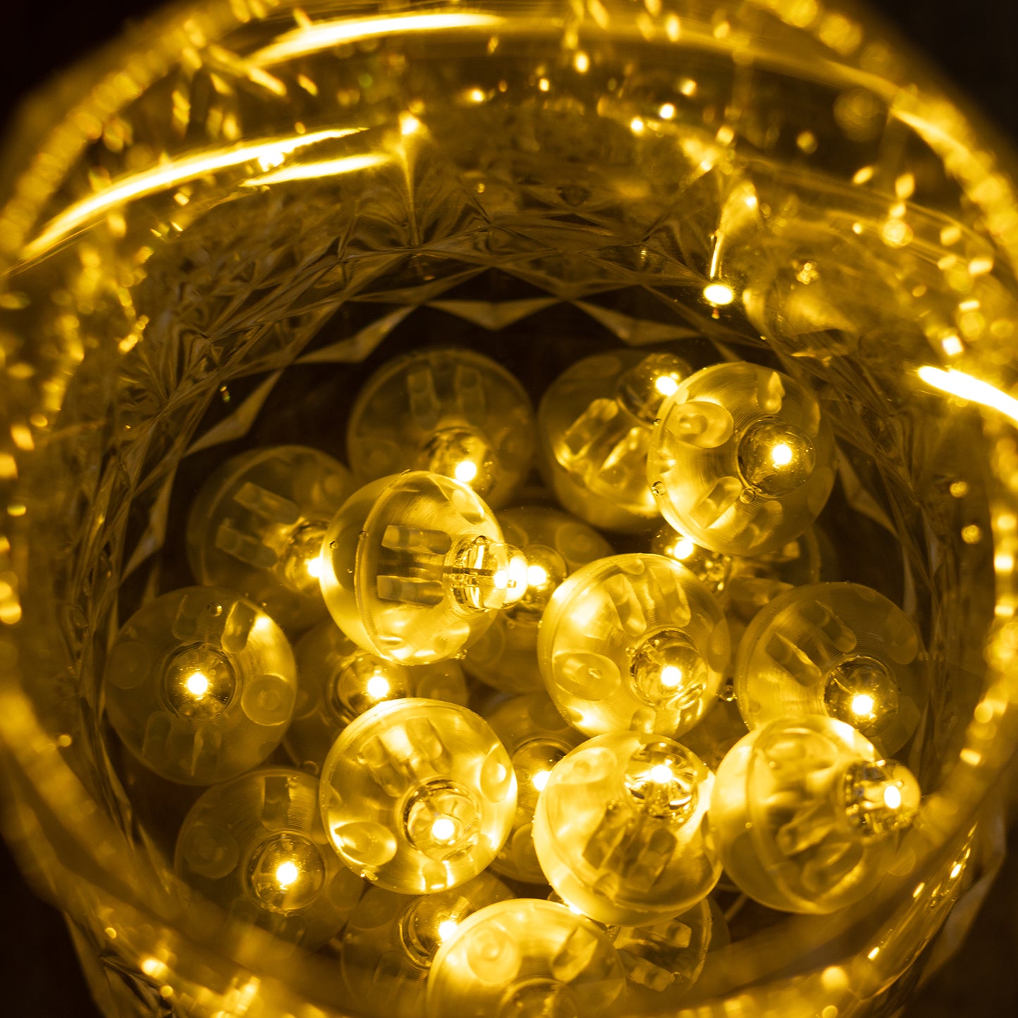 Warm white mini LED balloon lights in a clear container.