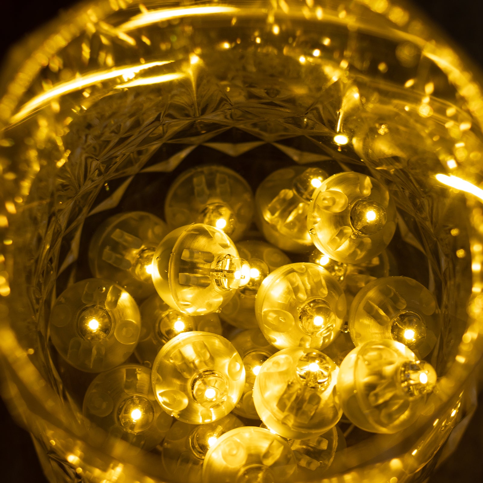 Warm white mini LED balloon lights in a clear container.