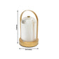 Gold LED table lamp with ribbed acrylic shade and touch control.