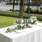 2 Pack 12" Silver Stainless Steel Shiny Mirror Gazing Ball, Reflective Hollow Garden Globe Spheres