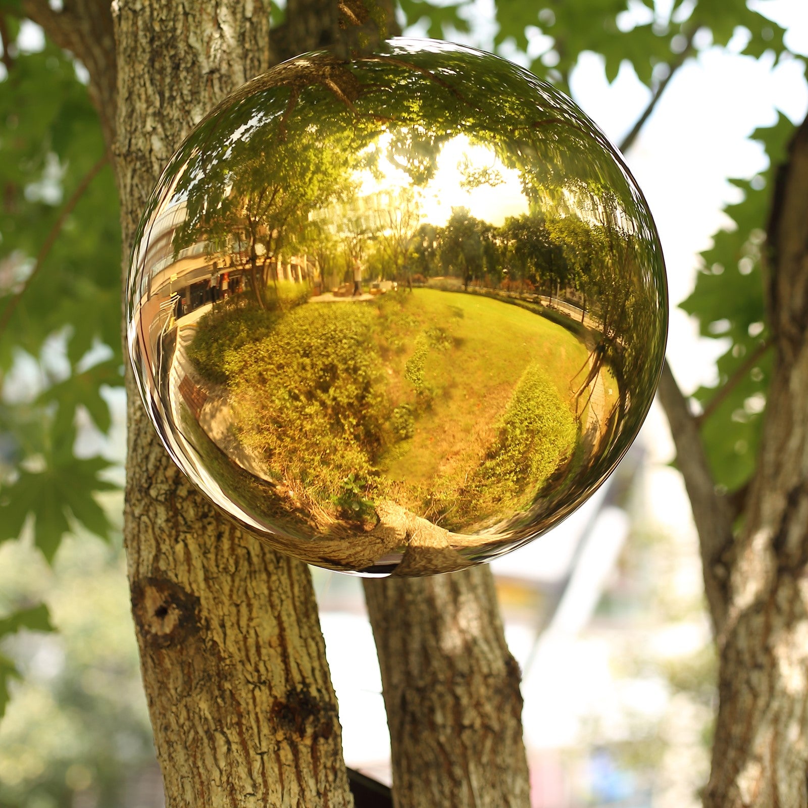 Gold reflective garden globe sphere hanging on a tree.