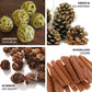 Natural dried assorted summer potpourri bowl fillers in earthy tones.