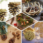 Natural dried assorted summer potpourri bowl fillers in warm earthy tones.