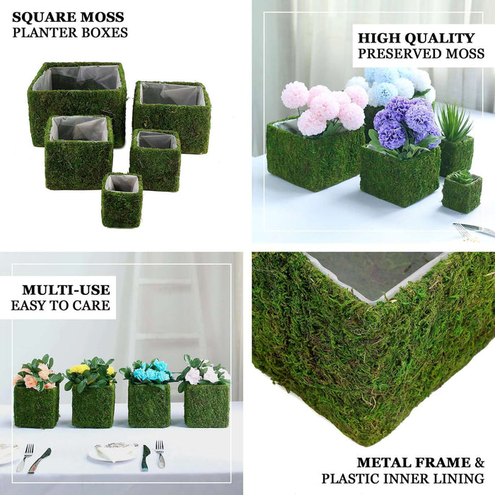 4 Pack | 6" Green Preserved Moss Covered Square Planter Boxes, Flower Baskets with Inner Lining