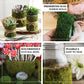 Green preserved moss ribbon roll for DIY crafts.