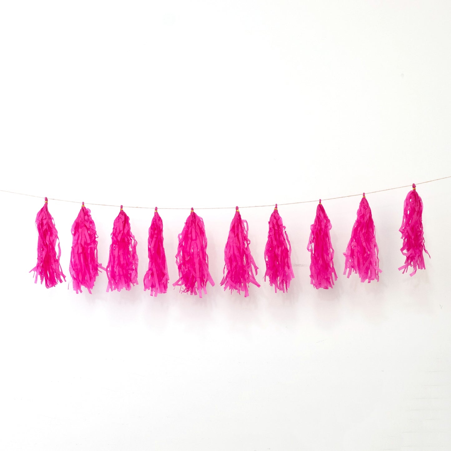 10 Pack Pink Tissue Paper Tassel Garland – Pre-Tied 12" Hanging Fringe Streamers with 10ft String for Party & Backdrop Décor