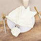 5 Pack Ivory Cotton Blend Cloth Napkins, Washable Reusable Table Dinner Napkins - 20"x20"