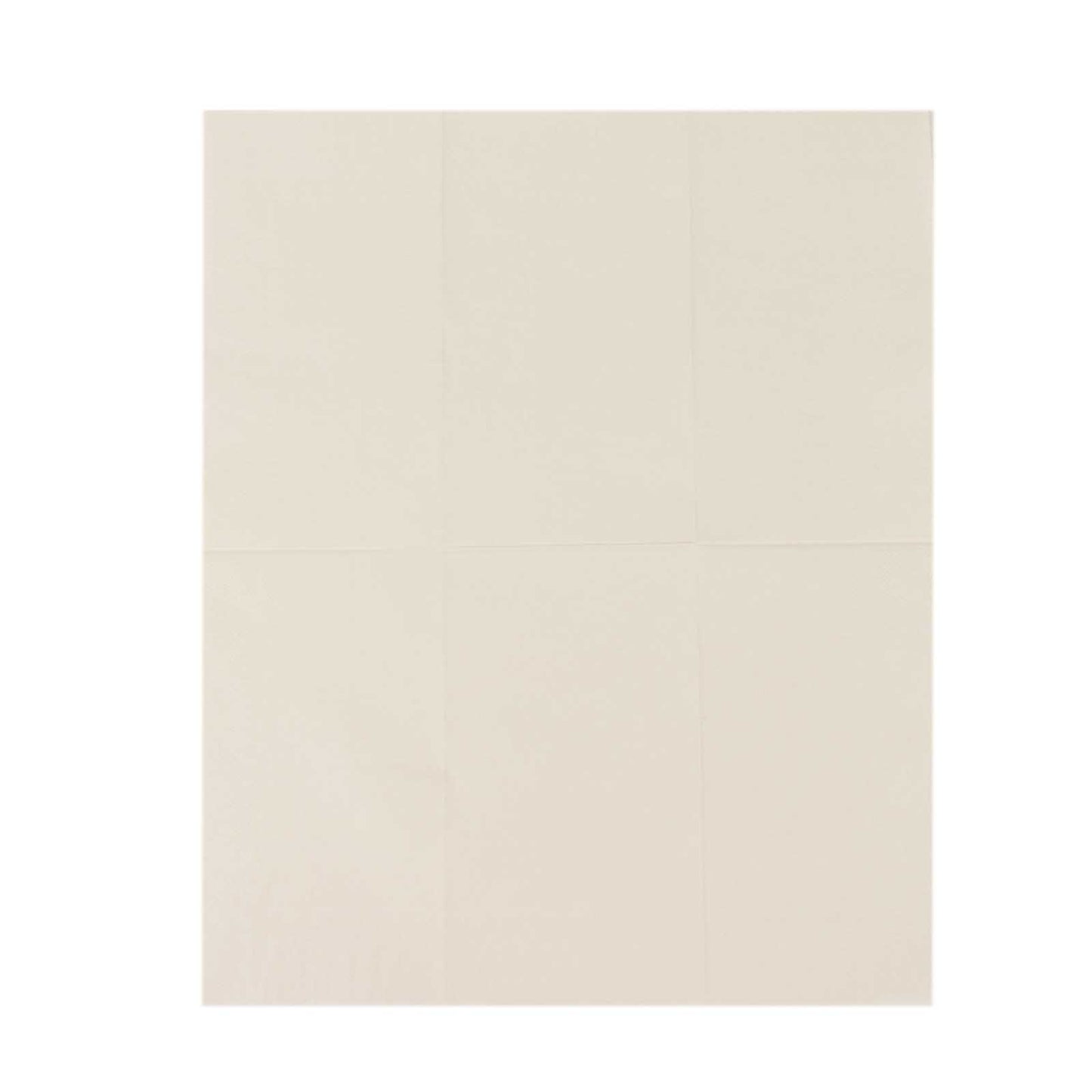 50 Pack 2 Ply Soft Ivory Disposable Party Napkins, Wedding Reception Dinner Paper Napkins