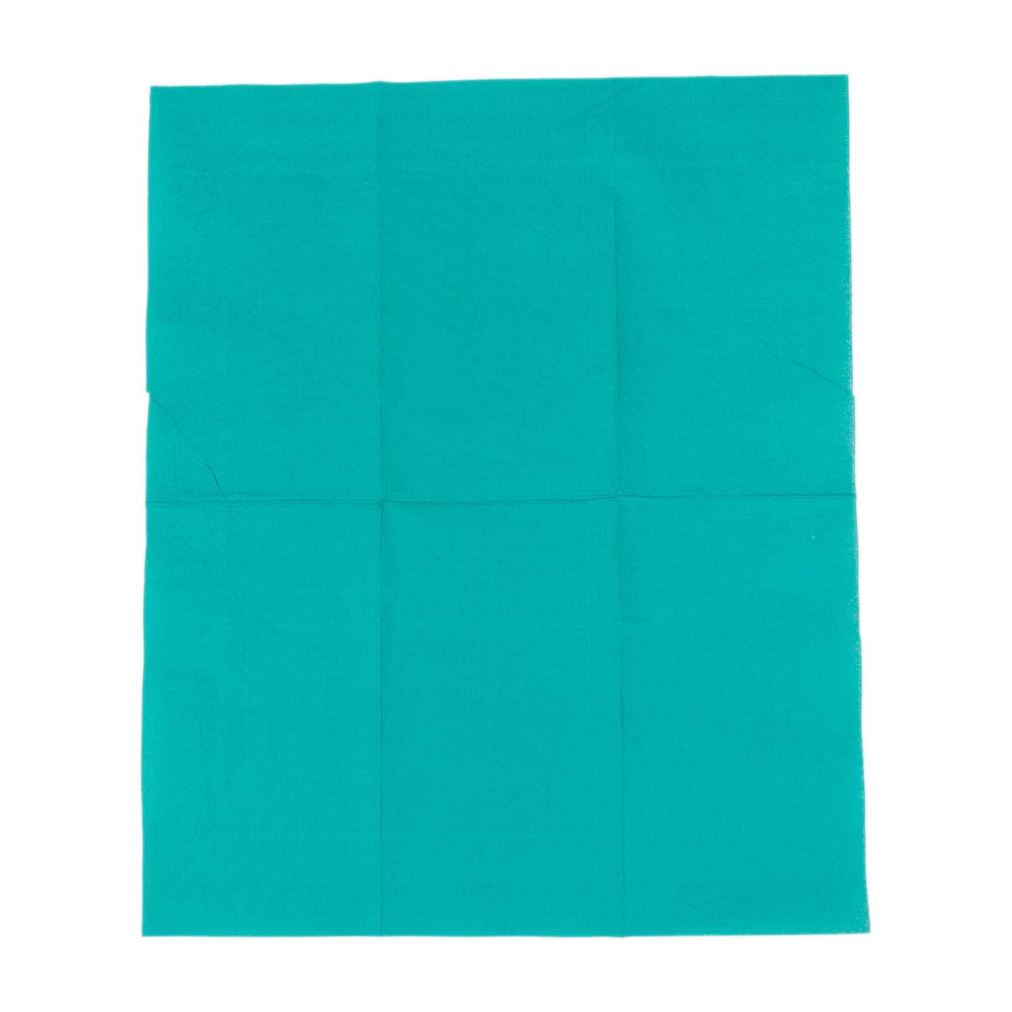 50 Pack 2 Ply Soft Turquoise Disposable Party Napkins, Wedding Reception Dinner Paper Napkins