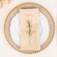5 Pack Beige Premium Polyester Cloth Napkins with Hemmed Edges, Reusable Dinner Napkins 20"x20 - 220GSM