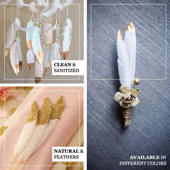 Blush white and gold dual tone real goose feathers for party decoration.