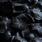 2000 Pack Rose Petals Round Design Black Silk Confetti - Decorative Scatters for Tables and Floors