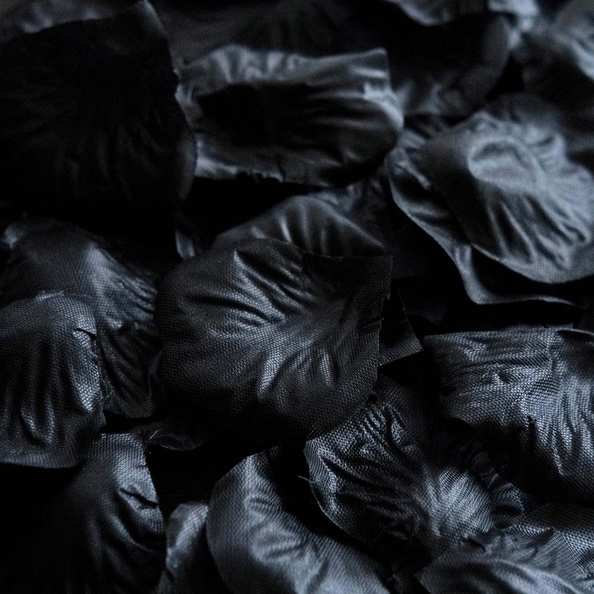2000 Pack Rose Petals Round Design Black Silk Confetti - Decorative Scatters for Tables and Floors
