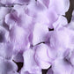 2000 Pack Silk Rose Petals Confetti, Lavender Lilac – Round Decorative Scatters for Tables