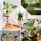 Gold textured round ceramic flower pots in various indoor settings.