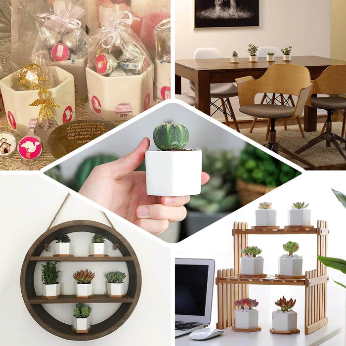 6 Pack | 3" White Geometric Hexagon Ceramic Planter Pots, Bamboo Tray Base w/ Drainage Hole, Cactus and Succulent Planters With Removable Bottom