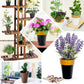 Rustic brown medium flower plant pots, decorative indoor planters.
