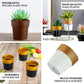 Rustic brown small flower plant pots for indoor decoration.