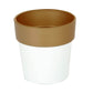 Brown and white small flower plant pot, decorative indoor planter.