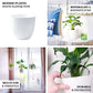 2 Pack | White 5.5" Plastic Planter Pots, Indoor Plant Pot For Hanging Macrame Planter Holder