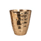 6 Pack Gold Hammered Indoor Planter Pots 5.5" – Decorative Plastic Planters for Succulents, Flowers 