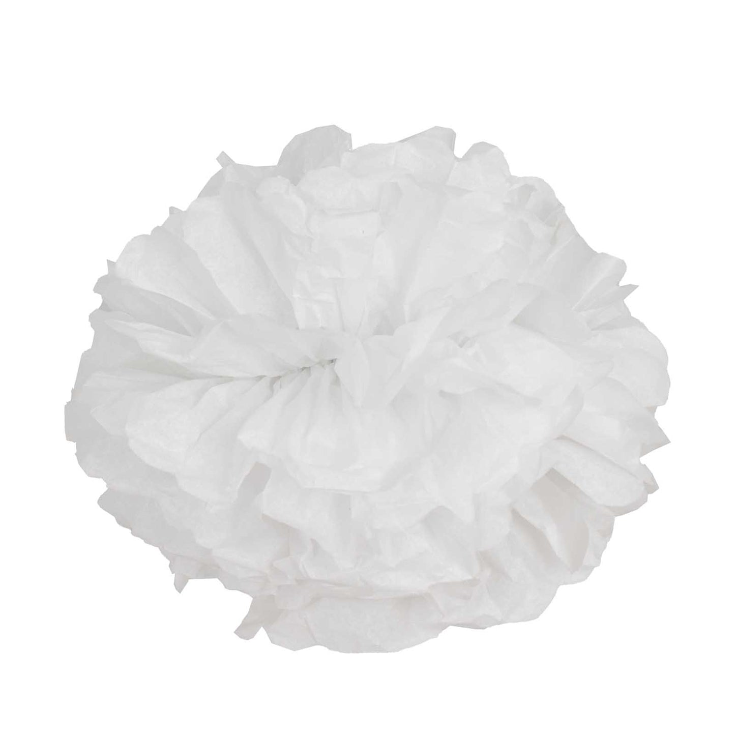 6 Pack 12" White Tissue Paper Pom Poms Flower Balls, Ceiling Wall Hanging Decorations