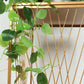 Gold metal rectangular plant stand with geometric crossed lines pattern.