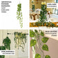 4 Pack Green Pothos Artificial Ivy Vine Hanging Plants, 3ft Fake Foliage Garland