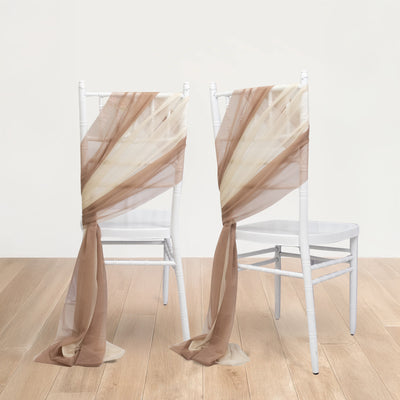 Chic Color & Sheer Texture