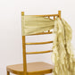 5 Pack Champagne Curly Willow Chiffon Satin Chair Sashes