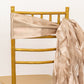 5 Pack Nude Curly Willow Chiffon Satin Chair Sashes