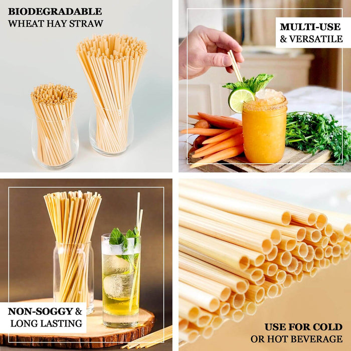100 Pack | Compostable Plant Based Disposable 100% Plastic FREE Straws, Eco-Friendly 9" Wheat Drinking Straws