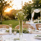 6 Pack Clear Cylinder Glass Vases - 14" for Floral Arrangements & Wedding Centerpieces