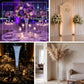 Elegant clear glass vase with dual-use reversible design for creative floral and candle displays
