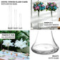 Clear heavy-duty glass Eiffel Tower vases for elegant floral centerpieces.