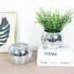 6 Pack Silver Glass Disco Ball Flower Vases, 6" Mirror Vase for Table Centerpieces & Floral Arrangem
