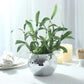 6 Pack Silver Glass Disco Ball Flower Vases, 6" Mirror Vase for Table Centerpieces & Floral Arrangem