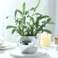 6 Pack Silver Glass Disco Ball Flower Vases, 6" Mirror Vase for Table Centerpieces & Floral Arrangem