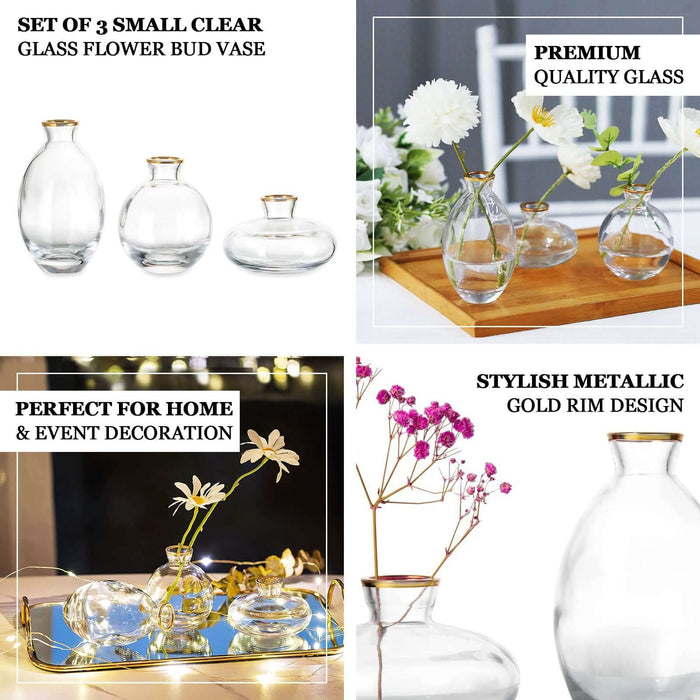 Set of 3 Small Clear Glass Flower Vases With Metallic Gold Rim, Modern Bud Vase Table Centerpieces – Assorted Sizes
