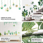 Green plants wall decals for home decor, featuring hanging terrariums and foliage.