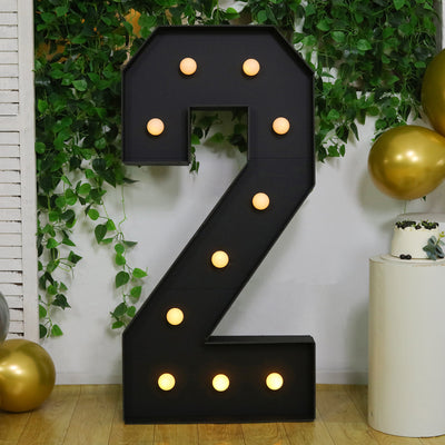 4ft LED Marquee Number "2"