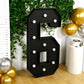 Giant LED Marquee Light Up Number "6", Black 4ft Pre-Cut Foam Board with 10 Warm White Battery Operated LEDs, Glue Gun and Sticks