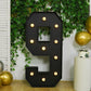 Giant LED Marquee Light Up Number "9", Black 4ft Pre-Cut Foam Board with 10 Warm White Battery Operated LEDs, Glue Gun and Sticks