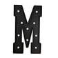 Giant LED Marquee Light Up Letter "M", Black 4ft Pre-Cut Foam Board with 10 Warm White Battery Operated LEDs, Glue Gun and Sticks