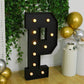 Giant LED Marquee Light Up Letter "P", Black 4ft Pre-Cut Foam Board with 10 Warm White Battery Operated LEDs, Glue Gun and Sticks