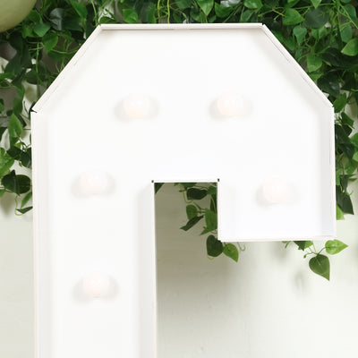 Eye-Catching and Versatile