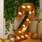 Giant LED Marquee Light Up Number "2", Gold 4ft Pre-Cut Foam Board with 10 Warm White Battery Operated LEDs, Glue Gun and Sticks