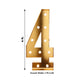 Giant LED Marquee Light Up Number "4", Gold 4ft Pre-Cut Foam Board with 10 Warm White Battery Operated LEDs, Glue Gun and Sticks